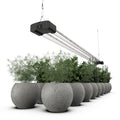 BoostGro LED Plant Grow Light Sunlike Full Spectrum Flower Hydroponics Dual Tube