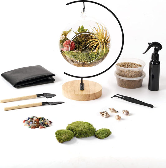 15-Piece Terrarium Kit with Live Moss – DIY Glass Globe Set with Tools, Soil, Stones & Spray Bottle – Indoor Mini Garden Gift for Plant Lovers, Home Decor & Zen Craft