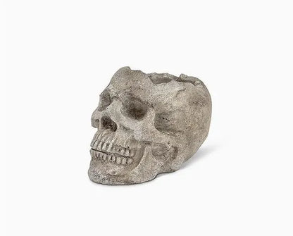Sugar Skull Planter - Concrete |  Plant Pot, Indoor House Plant, Air Plants, Tillandsia, Succulent, Science Gothic Halloween Decor