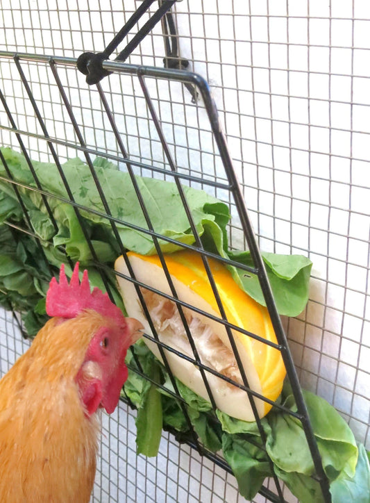 Peck-It-Clean Veggie Feeder for Chickens, Small (10" x 10"), Black – Includes Grid Panel, Cord, Toggle, and Cable Ties