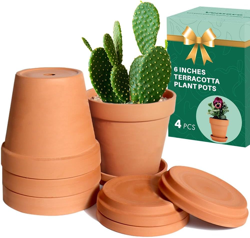 6 Inch Terracotta & Clay Pots for Plant with Saucer - 4 Pack Medium Terra Cotta Planter with Drainage Hole, Flowerpot for Indoor Outdoor Plants, Crafts, Wedding Favor