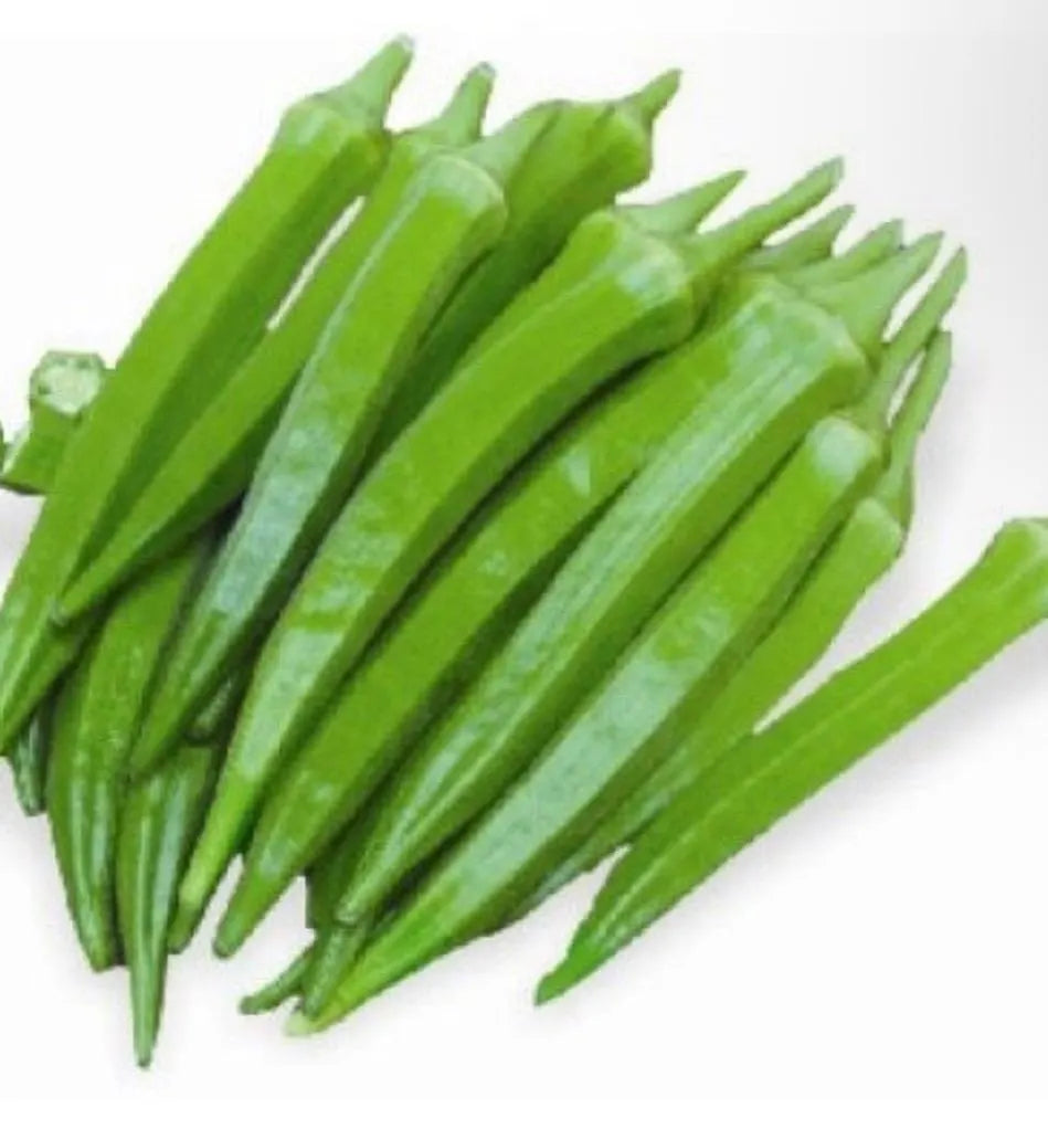 2 plants in a 4" pot/ red okra /green orka/ organic growth