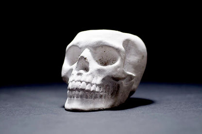 Sugar Skull Planter - Concrete |  Plant Pot, Indoor House Plant, Air Plants, Tillandsia, Succulent, Science Gothic Halloween Decor