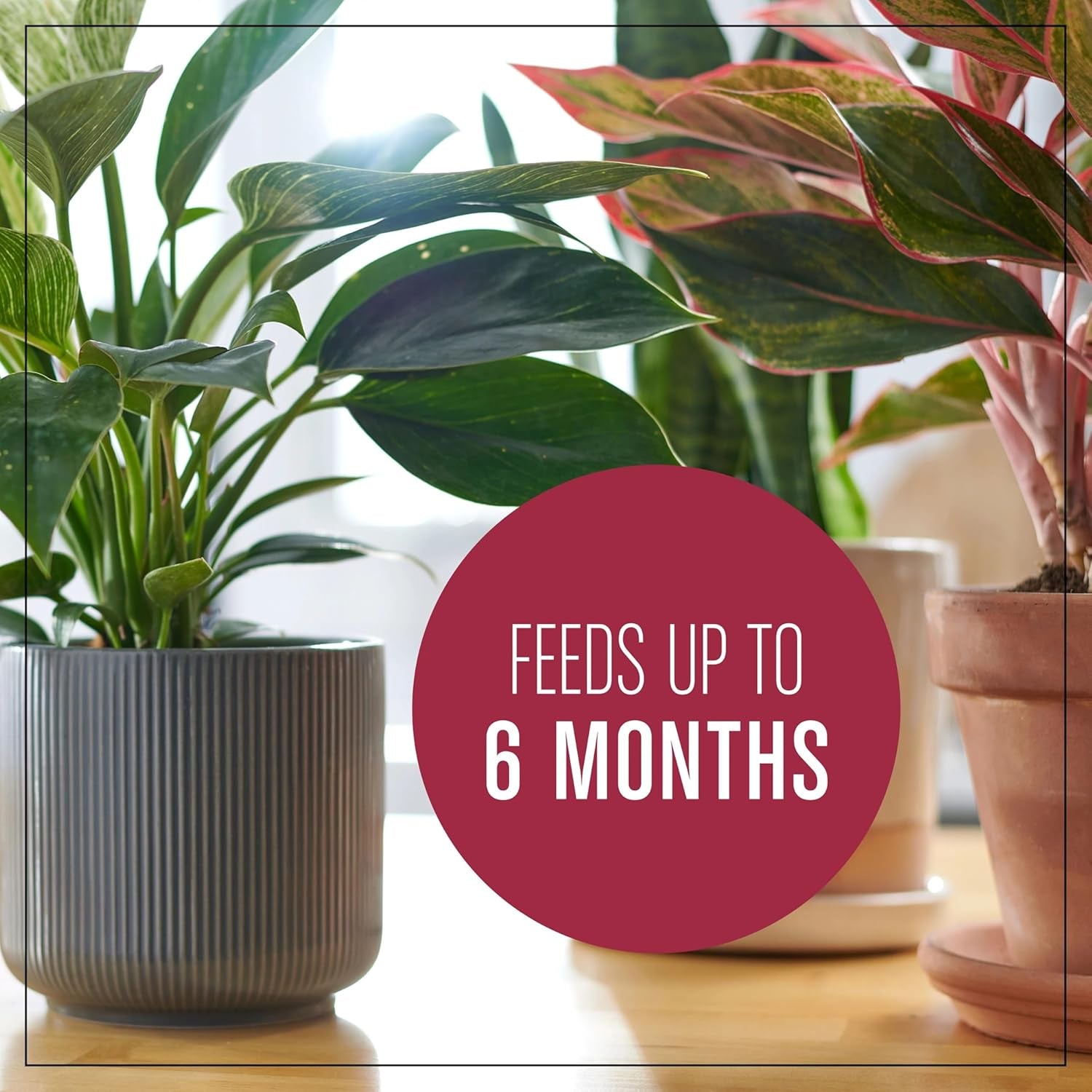 Houseplant Potting Mix: Fertilized, Perlite Soil for Indoor Gardening, Designed to Be Less Prone to Gnats, 4 qt.