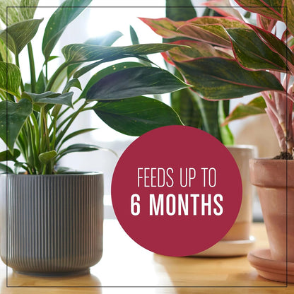 Houseplant Potting Mix: Fertilized, Perlite Soil for Indoor Gardening, Designed to Be Less Prone to Gnats, 4 qt.