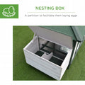 Chicken Coop Hen House /w Cottage Style, Green