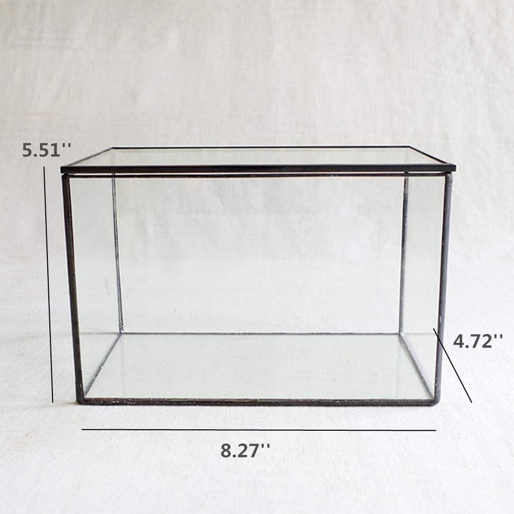 Glass Plants Terrarium with Lid,Rectangle Black Pot Box for Indoor Plants,Geometric Clear Containers for Moss and Succulent,Tabletop Decor DIY Gift,8.3”L x 4.7”W x 5.5”H