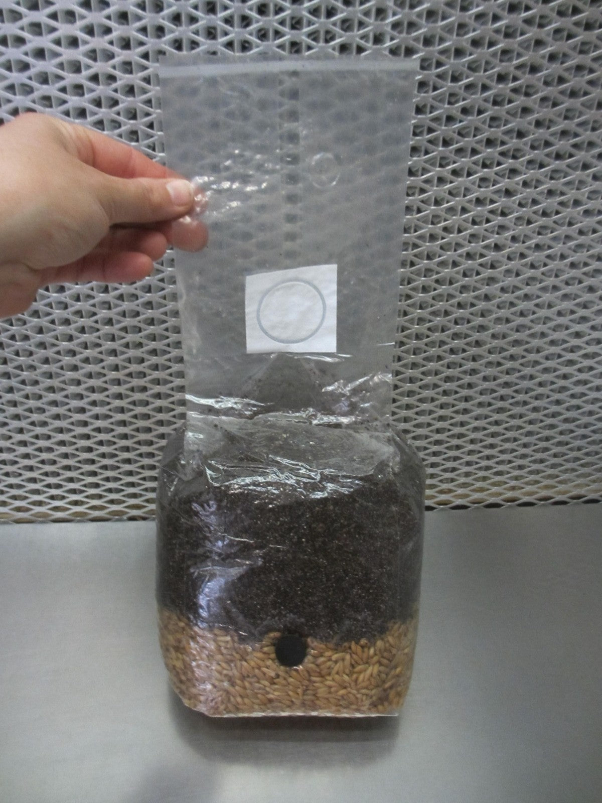All In One LARGE 4 LB Mushroom Grow Bag - Dung Lovers Substrate & Injection Port