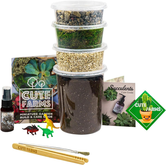 Terrarium Starter Kit | Moss, Vermiculite, Soil, Pebbles, Plant Food, Finishing Tools, Build and Care Guide | DIY Succulent Terrarium Kit for Adults and Kids (Large Kit)