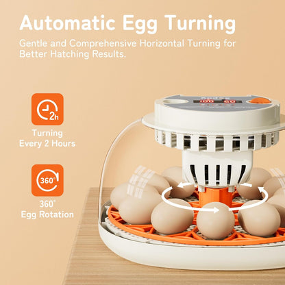 Egg Incubator with Temperature and Humidity Control, Automatic Egg Turner, Egg Candler, External Water Bottle Refill, Air Vent, 360° Clear View, Hatching Chicken Duck Quail Bird,  HatchPro 12