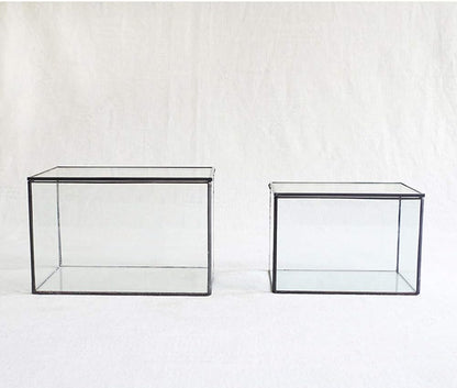 Glass Plants Terrarium with Lid,Rectangle Black Pot Box for Indoor Plants,Geometric Clear Containers for Moss and Succulent,Tabletop Decor DIY Gift,8.3”L x 4.7”W x 5.5”H