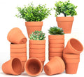 Terra Cotta Pots, 24 Pack 3.15 Inch Mini Clay Pot with Drainage Holes,Cactus Flower Nursery Terracotta Pots for Indoor/Outdoor Succulent Plants, Crafts, Wedding Favor