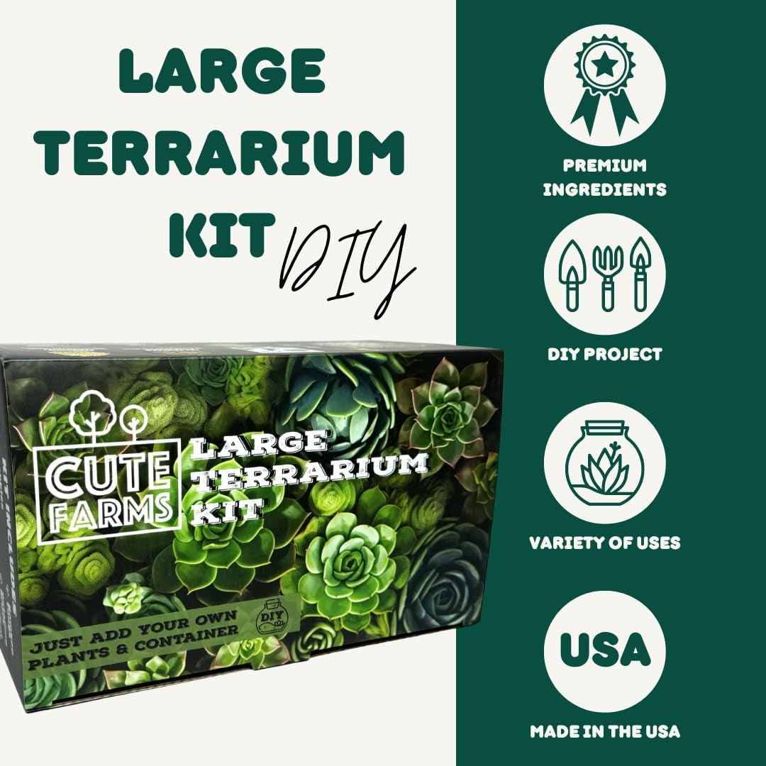 Terrarium Starter Kit | Moss, Vermiculite, Soil, Pebbles, Plant Food, Finishing Tools, Build and Care Guide | DIY Succulent Terrarium Kit for Adults and Kids (Large Kit)