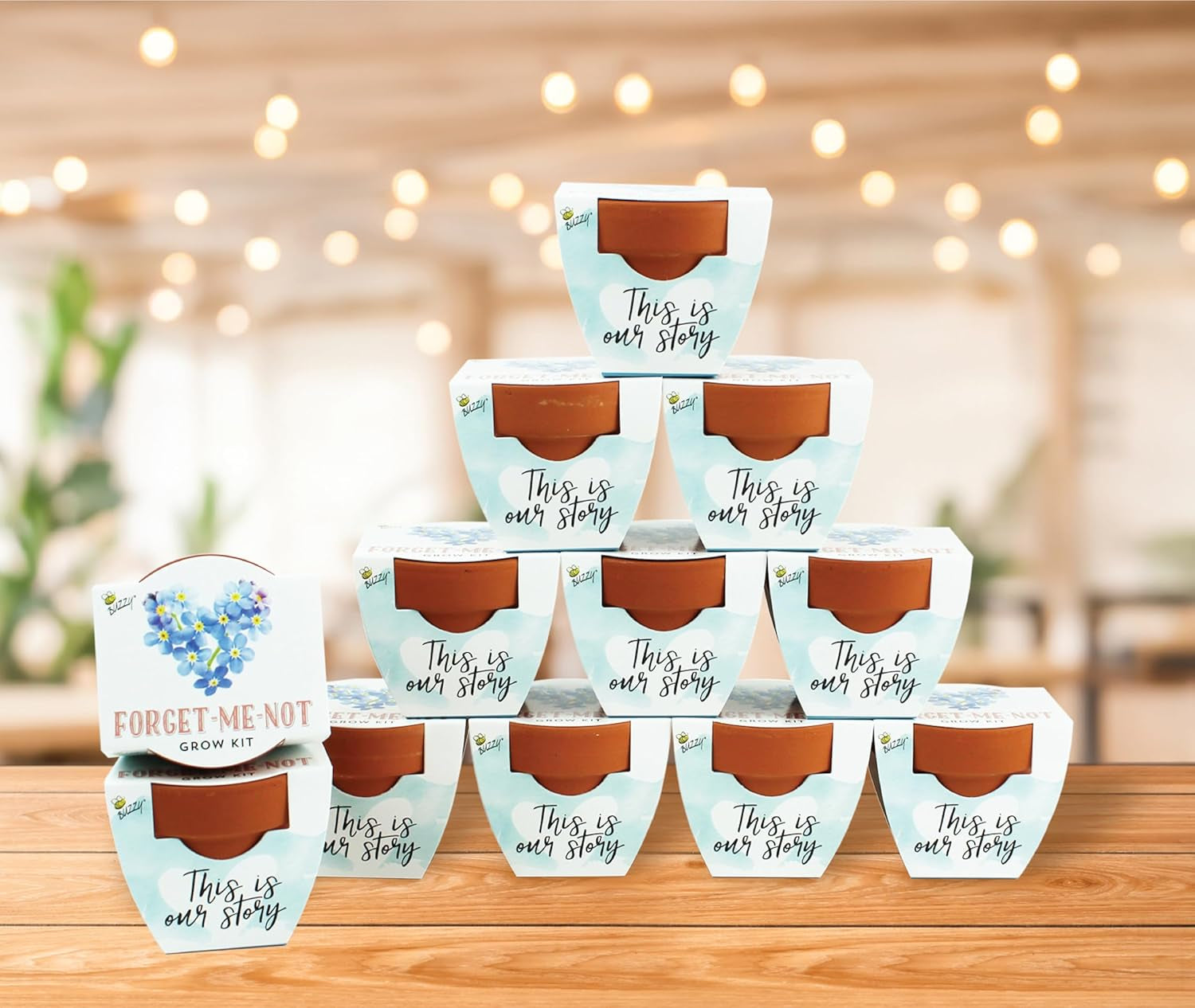 Seeds Forget-Me-Not Terracotta Mini Grow Pots Love Collection, 12-Pack All-in-One Gardening Kit for Wedding Favors, Baby Shower Prizes, Birthday Gifts, or Party Favors