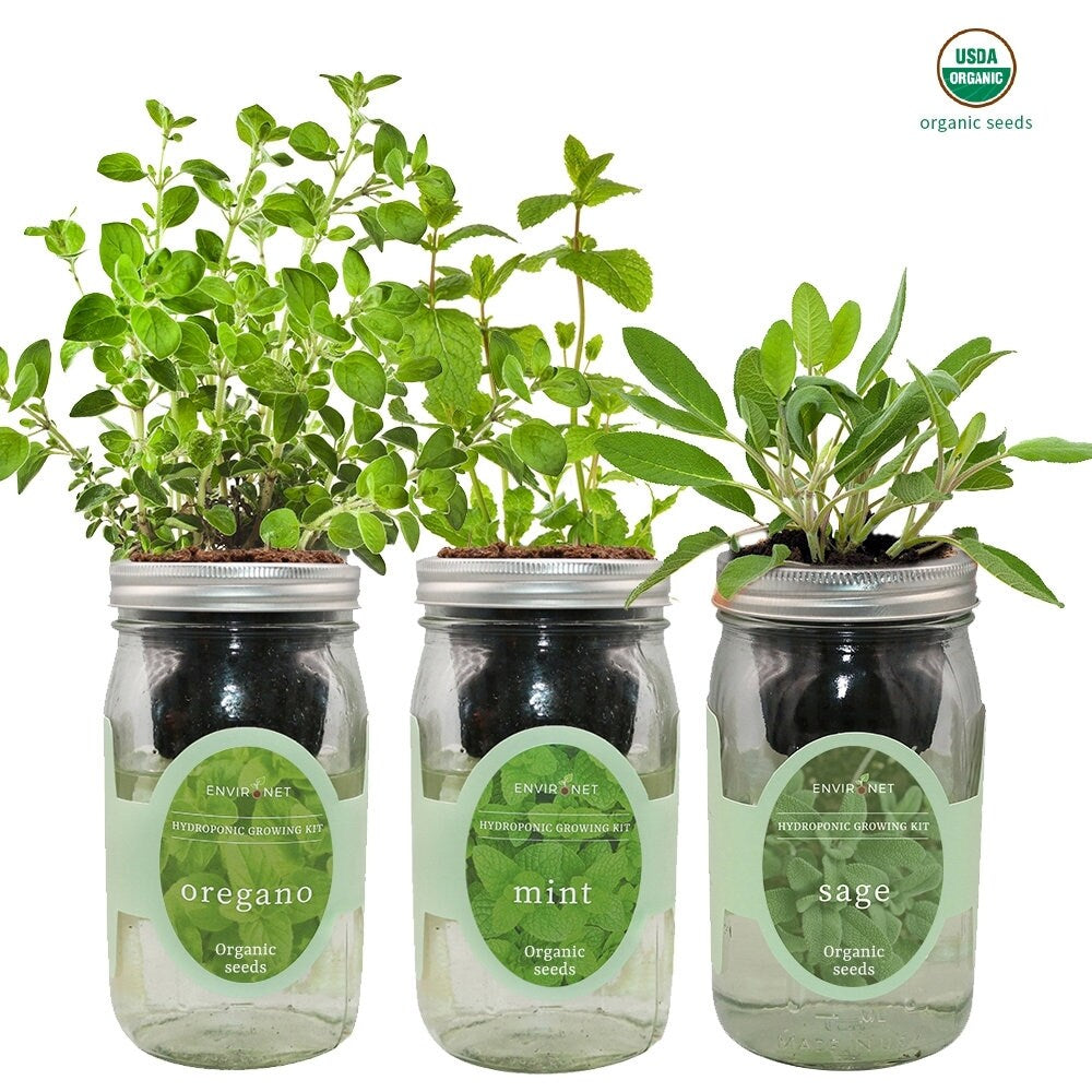 Herb Garden Trio - Mason Jar Hydroponic Kit Set with Organic Seeds, Gardening Gift