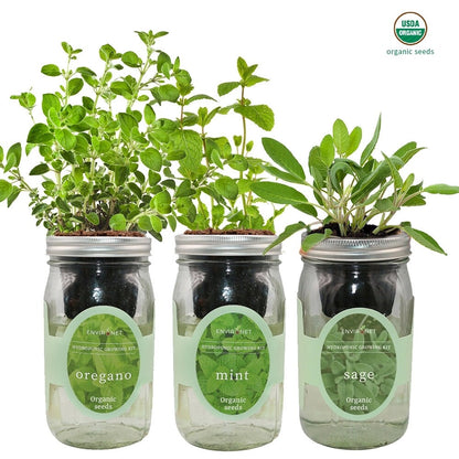 Herb Garden Trio - Mason Jar Hydroponic Kit Set with Organic Seeds, Gardening Gift