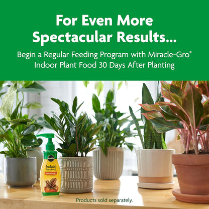 Indoor Potting Mix, Blended for a Variety of Houseplants, Feeds for up to 6 Months, 6 qt., 2-Pack