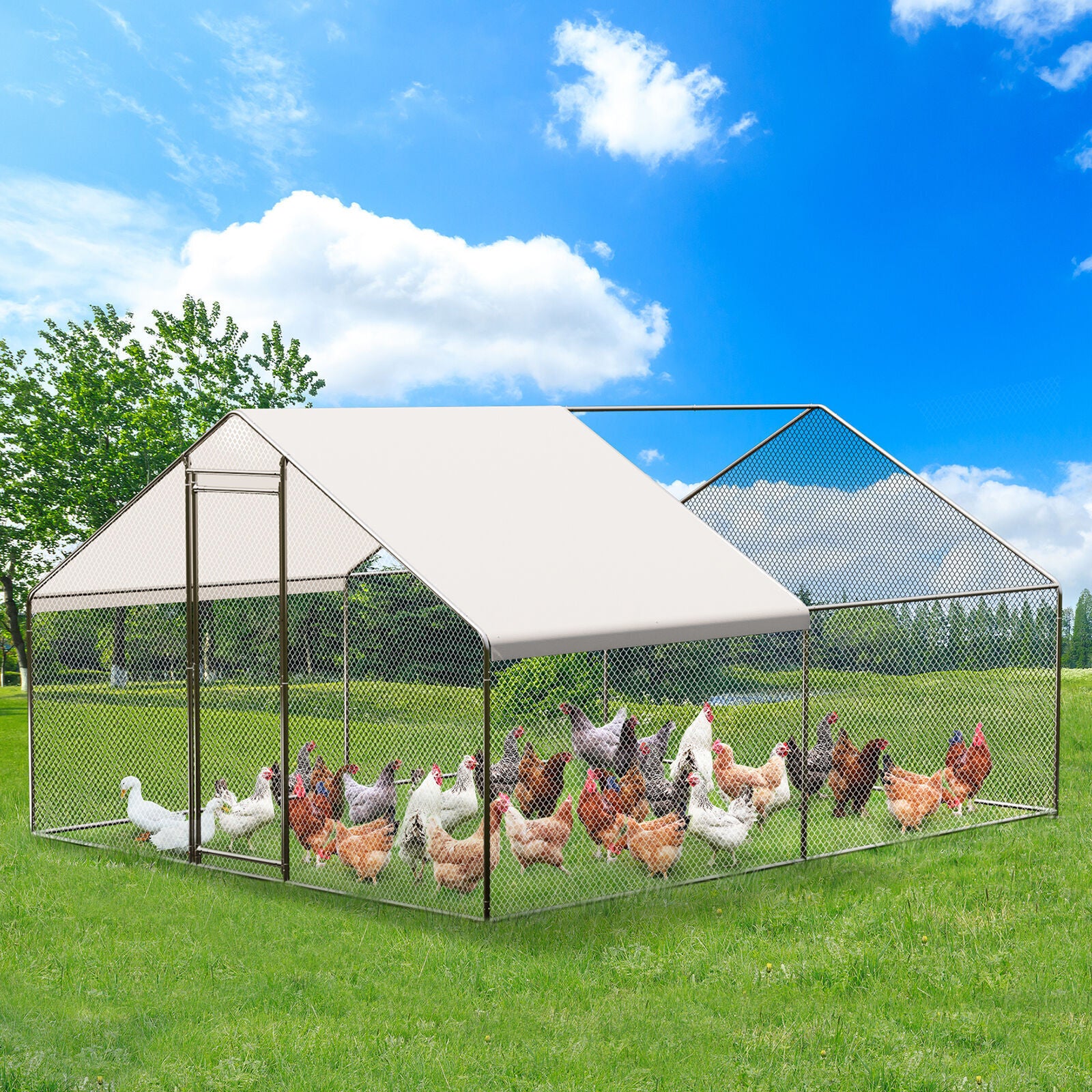 20FTx10FT Walk-in Chicken Coop Poultry Cage Hutches Pet House Chicken Run Cover