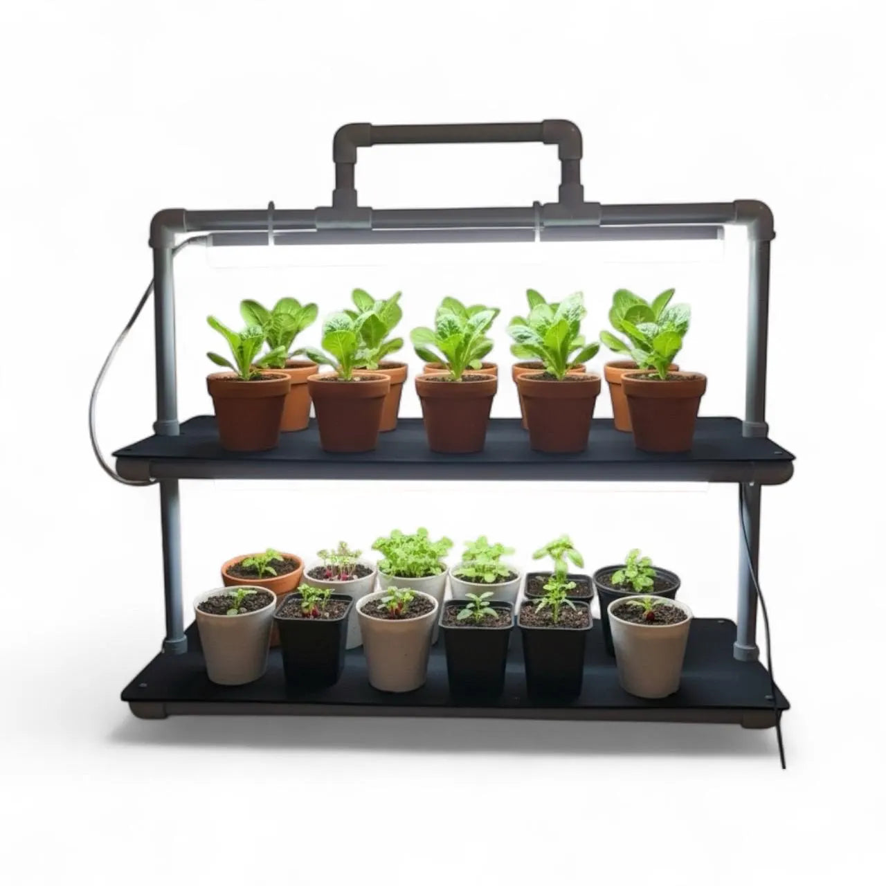 LED Grow Light Plant Stand with two Shelves & Two 10 W Full-Spectrum Light Bars for Seed Starting
