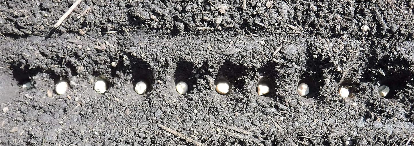 Seed-In Soil Digger and Soil Spacer for Planting Seeds