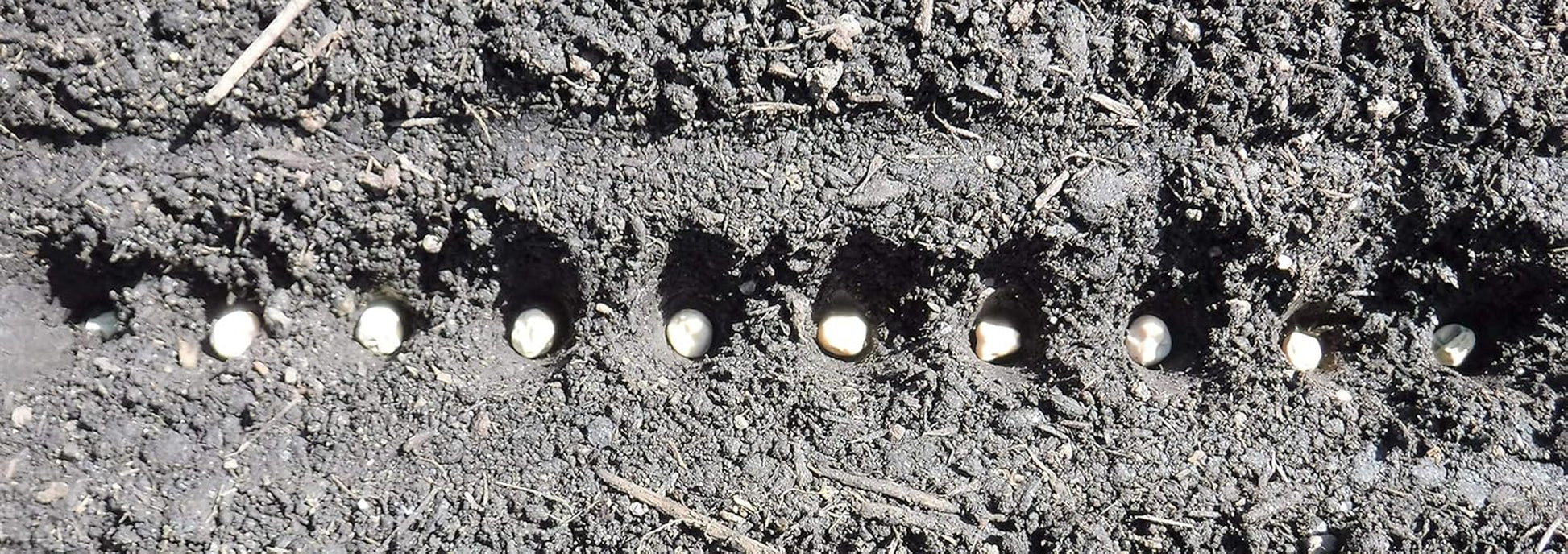 Seed-In Soil Digger and Soil Spacer for Planting Seeds