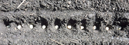 Seed-In Soil Digger and Soil Spacer for Planting Seeds