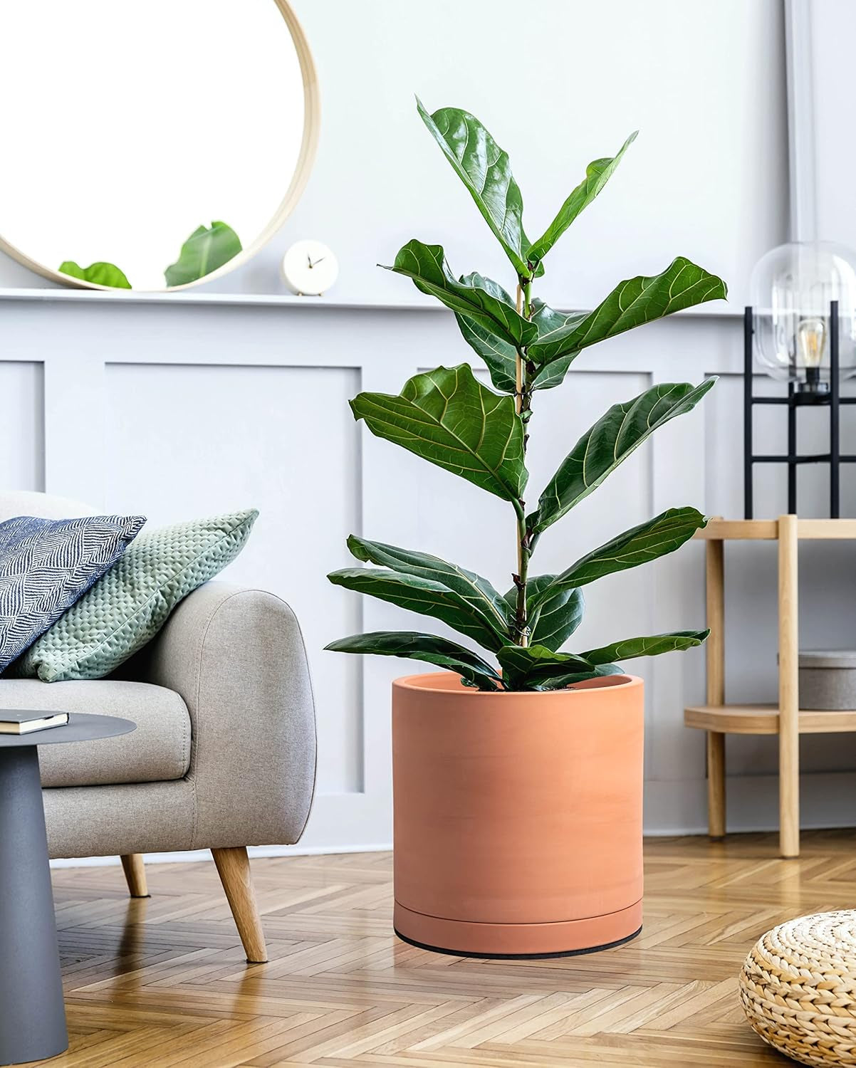 X-Large 12 Inch Terracotta Plant Pot with Drainage Hole and Saucer, Round Cylinder Planter Pot for Indoor Plants, 40-X-A-6