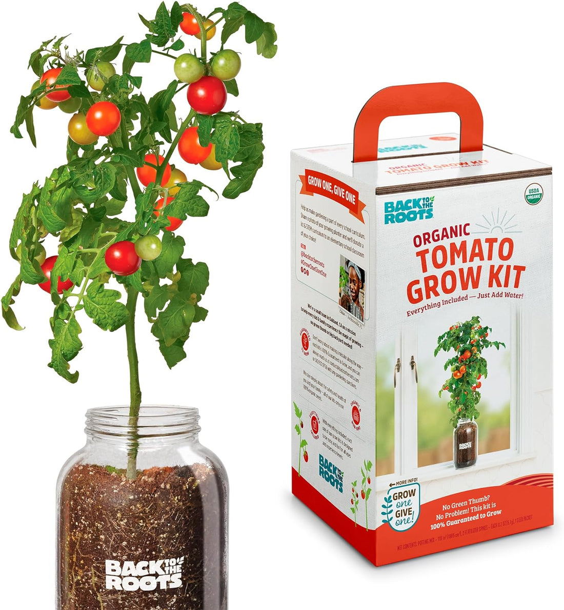 Cherry Tomato Organic Windowsill Planter Kit - Grows Year Round, Includes Everything Needed for Planting