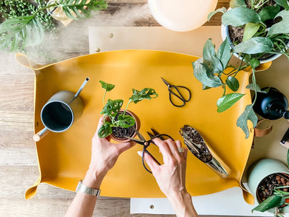 Scissors & Pruners Set | Houseplants and Gardening | A must-have plant tool and accessory for plant lovers | A perfect plant gift | 3 tools