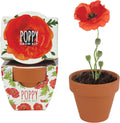 Seeds 12-Pack Poppy Grow Kit – Mini Terracotta Pots with Poppy Seeds and Growing Medium – Bulk Gardening Gifts, Wedding Favors, Classroom Activities, and Party Favor Flower Kits