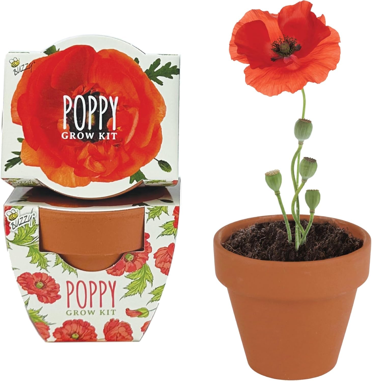 Seeds 12-Pack Poppy Grow Kit – Mini Terracotta Pots with Poppy Seeds and Growing Medium – Bulk Gardening Gifts, Wedding Favors, Classroom Activities, and Party Favor Flower Kits