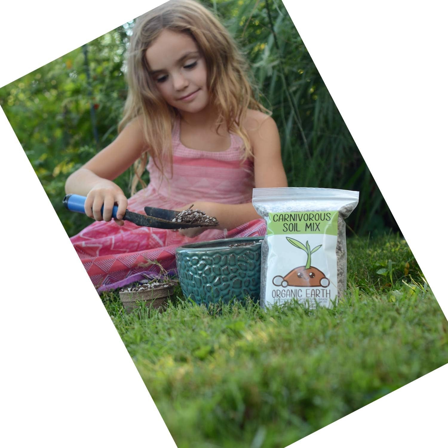 Carnivorous Plant Soil Mix 1 QT - Plant Food Peat Moss & Perlite for Carnivorous Plants - Terrarium Soil, Pitcher Plant Soil, Venus Fly Trap Soil