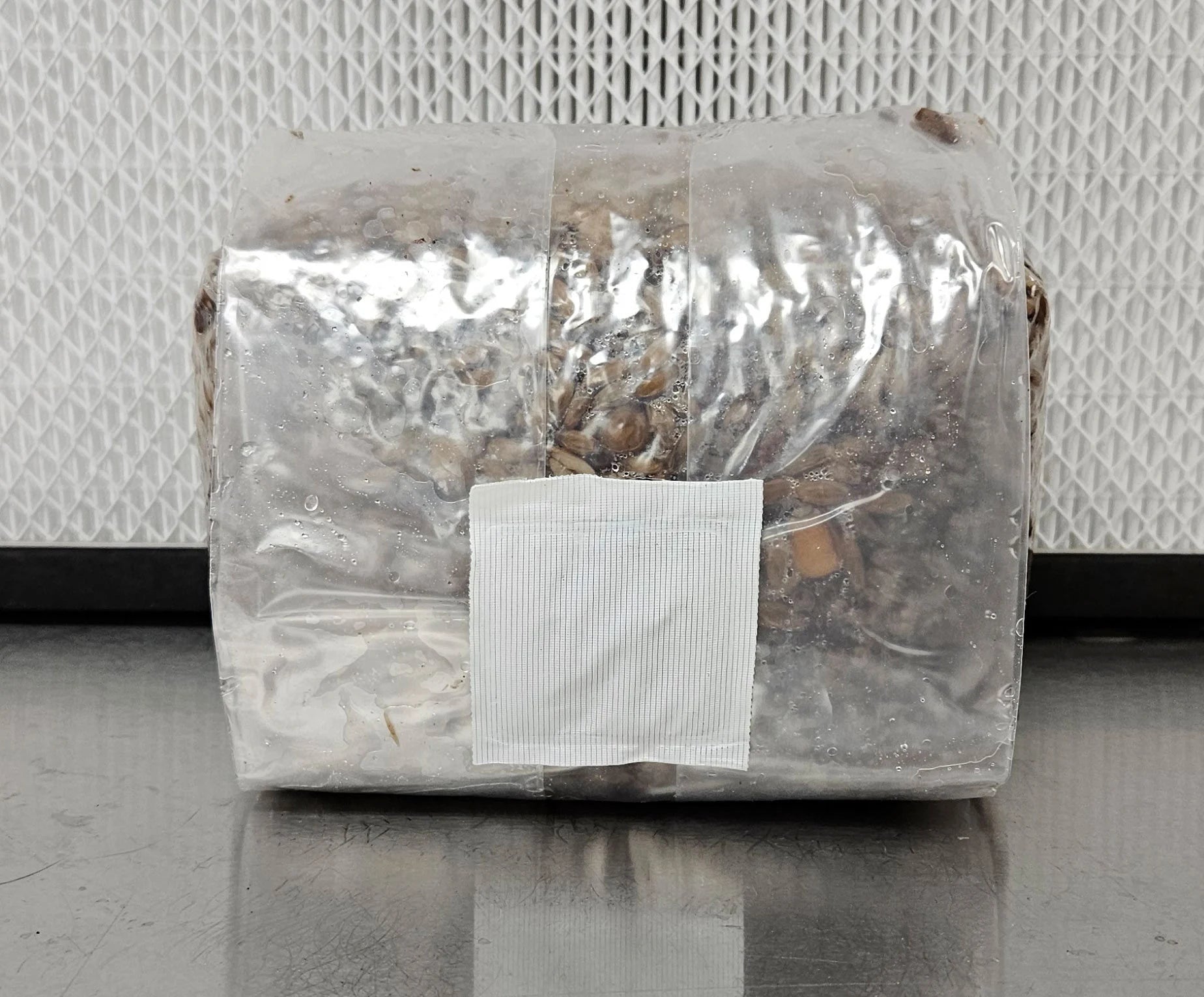 Ten 3lb Sterilized Custom Grain Mix Bags | High Yield Grain for Mushrooms