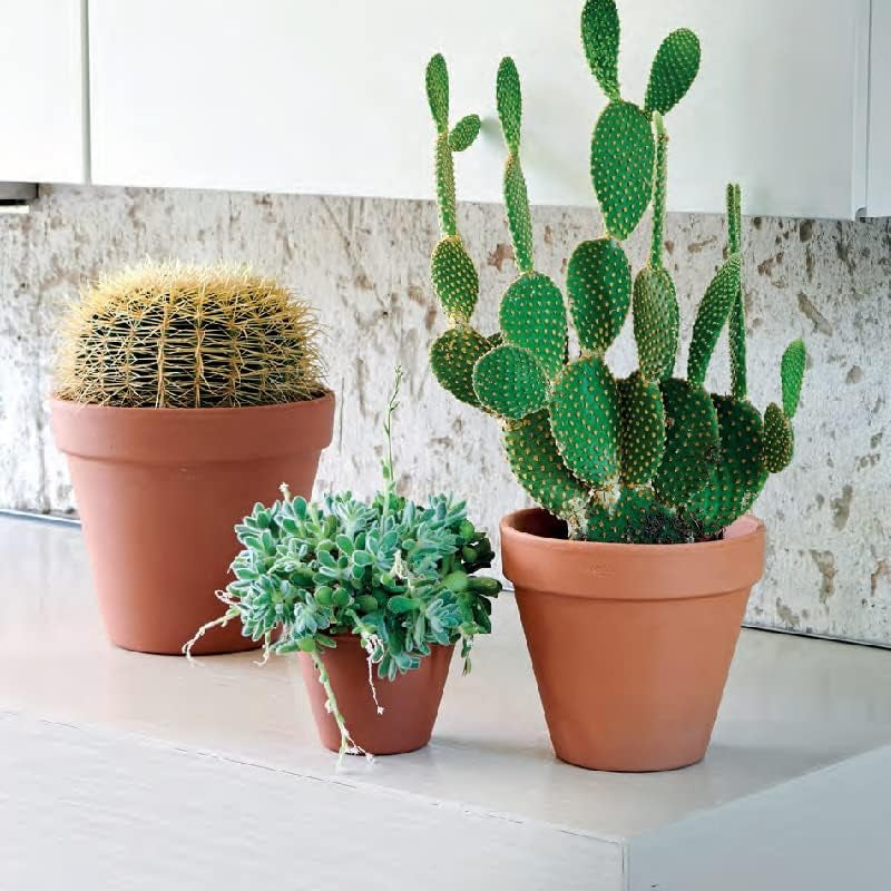 Clay Pot - 10 Pack Large Terra Cotta Plant Pot with Drainage Hole, Clay Planters Pot, Terracotta Pot for Indoor Outdoor Plant (5.5 inch)