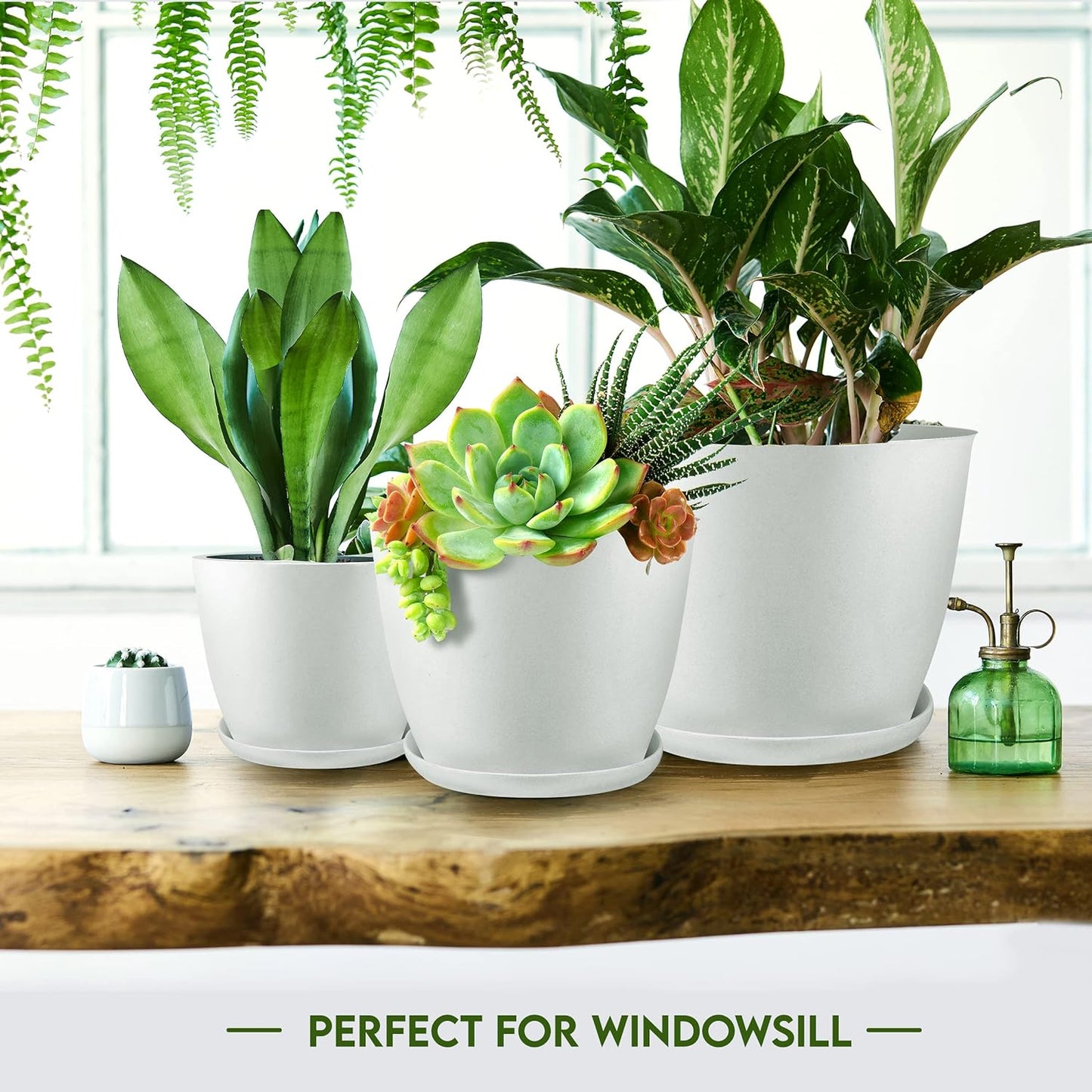 - Plant Pots Indoor with Drainage - 7/6.6/6/5.3/4.8 Inches Garden Flower Pots for Indoor Planter - 5 Pack White Plastic Planters - Ideal for Stocking Stuffers or Room, Office Home Decor