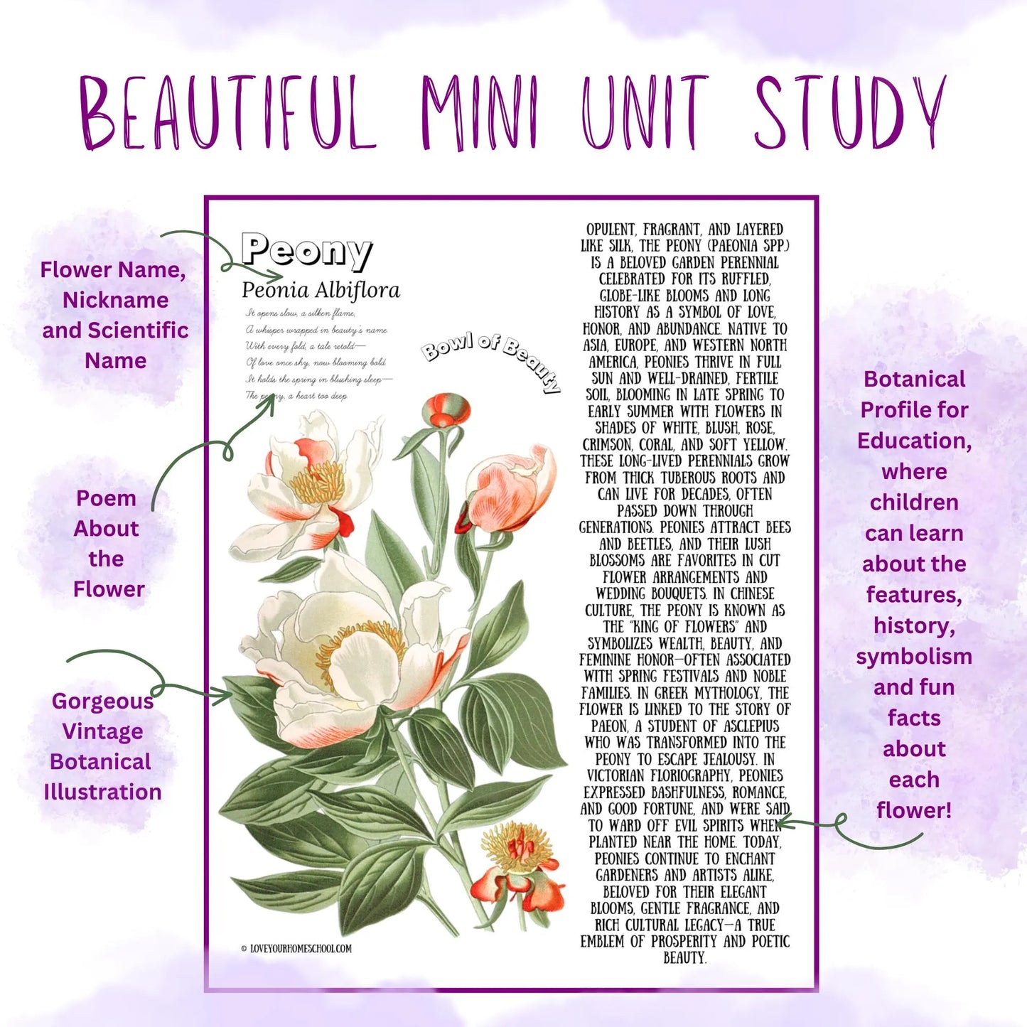 HUGE Homeschool Flower Notebooking Pack 322 Pages Flower Garden Unit Study Worksheets Curriculum Nature Journal Flashcard Coloring Page