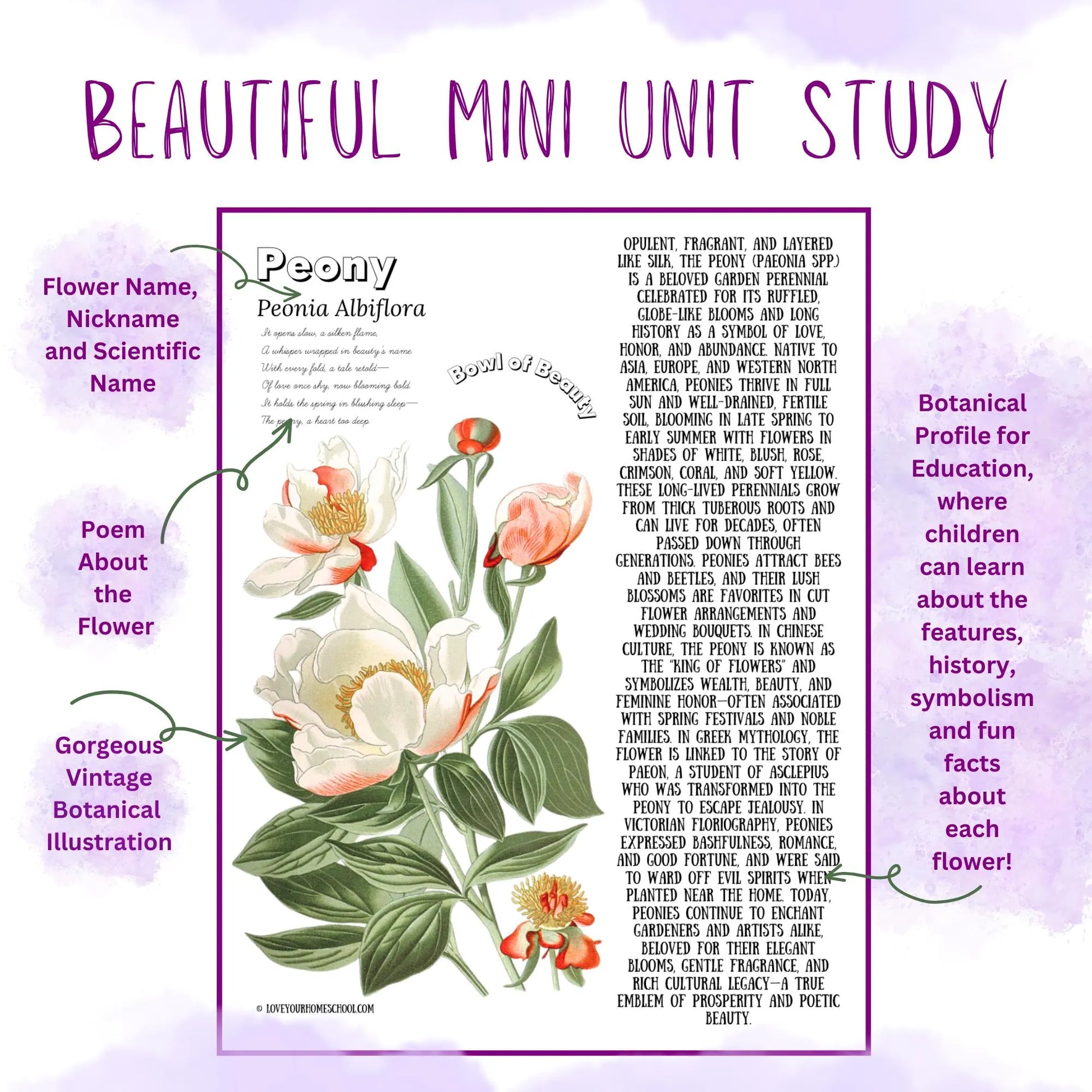 HUGE Homeschool Flower Notebooking Pack 322 Pages Flower Garden Unit Study Worksheets Curriculum Nature Journal Flashcard Coloring Page