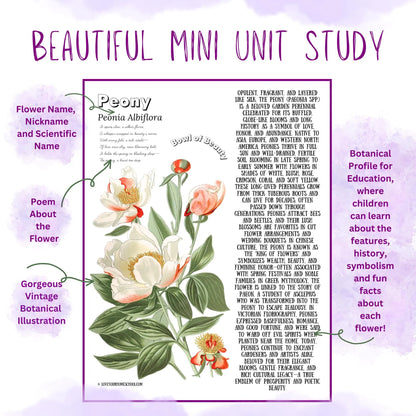 HUGE Homeschool Flower Notebooking Pack 322 Pages Flower Garden Unit Study Worksheets Curriculum Nature Journal Flashcard Coloring Page