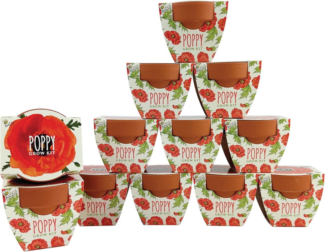 Seeds 12-Pack Poppy Grow Kit – Mini Terracotta Pots with Poppy Seeds and Growing Medium – Bulk Gardening Gifts, Wedding Favors, Classroom Activities, and Party Favor Flower Kits