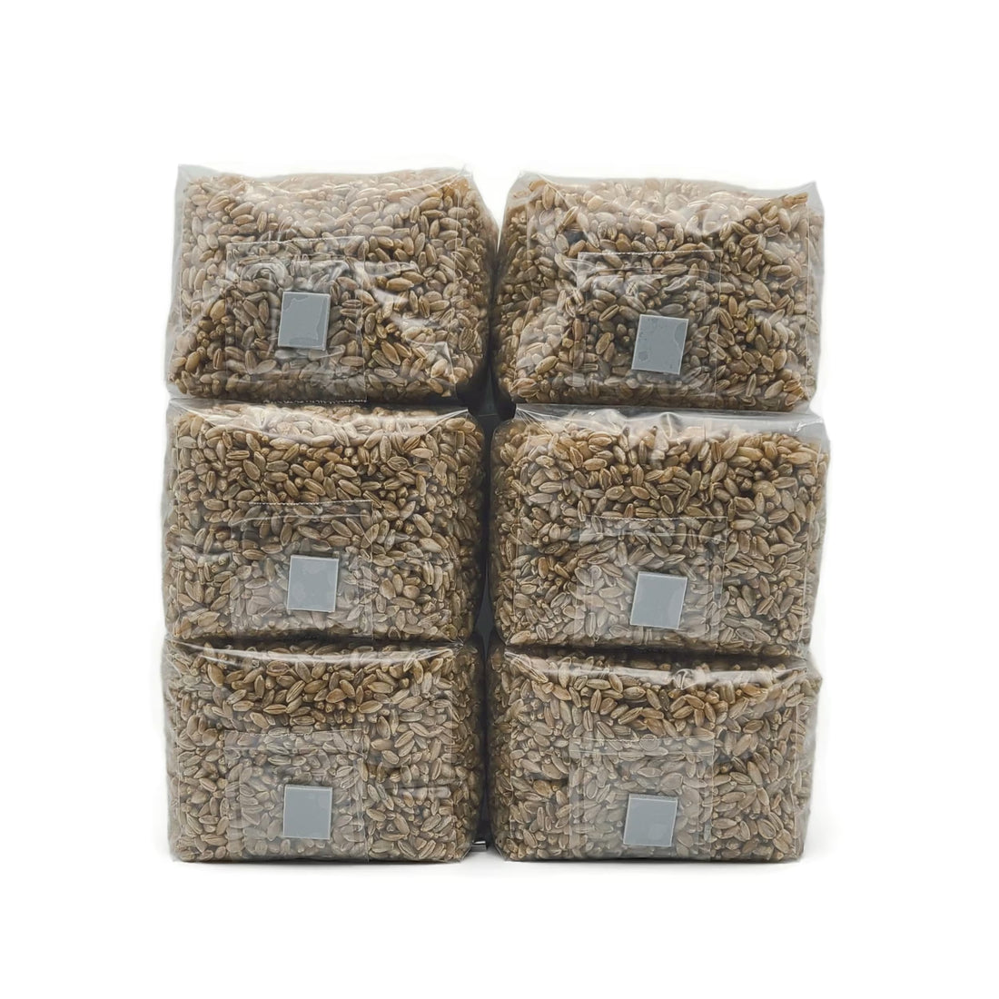 Sterilized Rye Grain Bags: Organic Mushroom Substrate with Self-Healing Injection Port