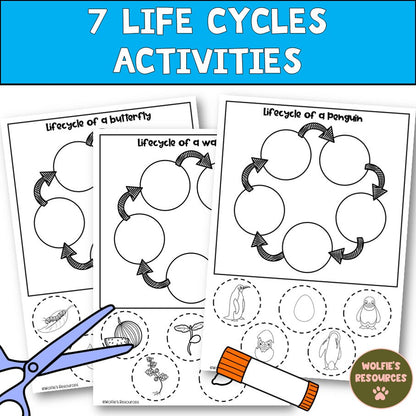 Science Worksheets For Kindergarten And Homeschool