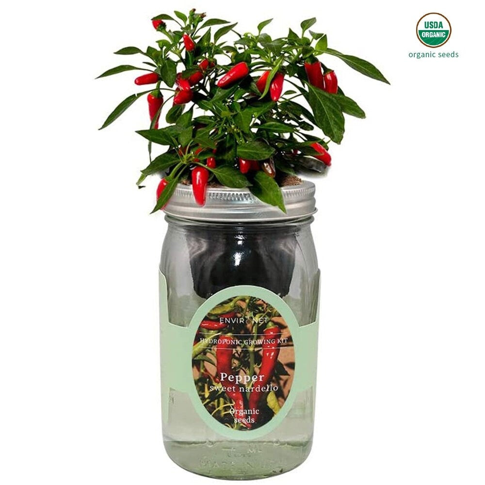 Sweetie Cherry Tomato Mason Jar Hydroponic Herb Kit with Organic Seeds, Gardening Gift