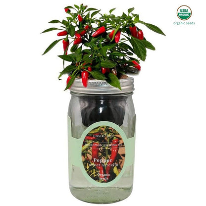 Sweetie Cherry Tomato Mason Jar Hydroponic Herb Kit with Organic Seeds, Gardening Gift