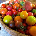 Mix of Heirloom Tomatoes, 400 Varieties ;-)