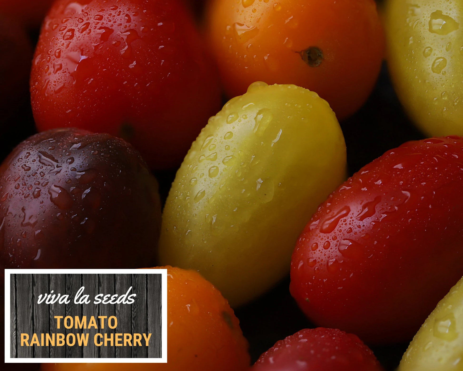 Tomato, Rainbow Cherry | 50 Seeds | Heirloom | Non-GMO | Lycopersicon esculemtum