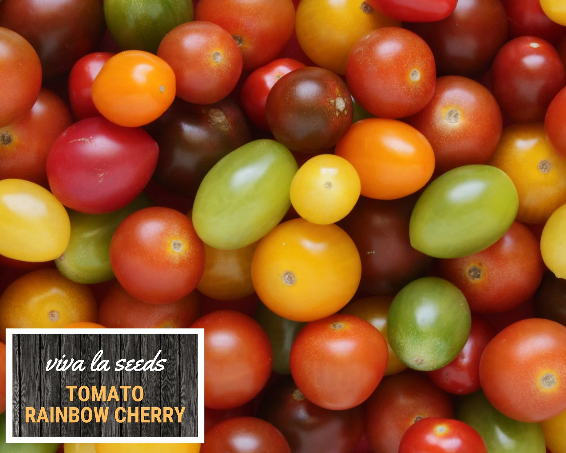 Tomato, Rainbow Cherry | 50 Seeds | Heirloom | Non-GMO | Lycopersicon esculemtum