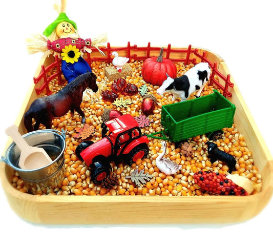 Fall Sensory Bin, Farm Sensory Bin, Toddler Sensory Activity, Preschool Classroom Favors, Thanksgiving Gifts for Kids, Montessori Toy