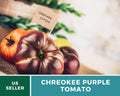 Cherokee Purple Tomato Seeds – Heirloom Vegetable, Best Tasting Beefsteak, Indeterminate, Non-GMO, Garden Gift | 50 Seeds