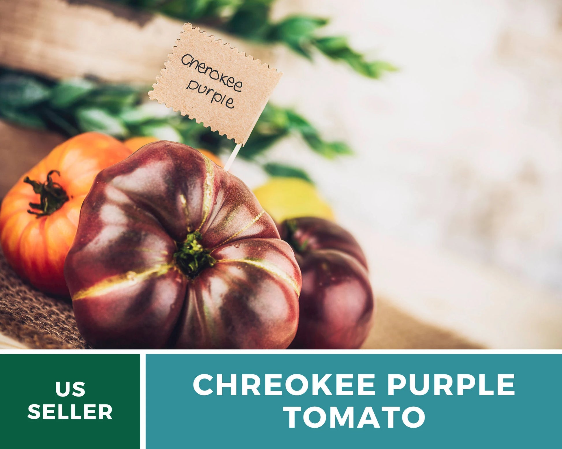 Cherokee Purple Tomato Seeds – Heirloom Vegetable, Best Tasting Beefsteak, Indeterminate, Non-GMO, Garden Gift | 50 Seeds