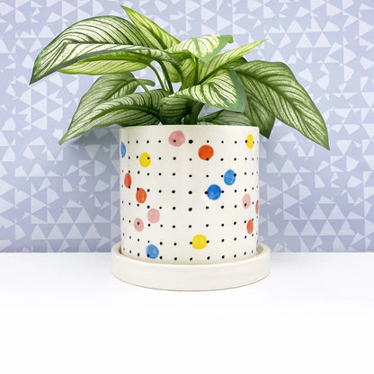 Colored Multi Dot Ceramic Planter-medium with drainage tray